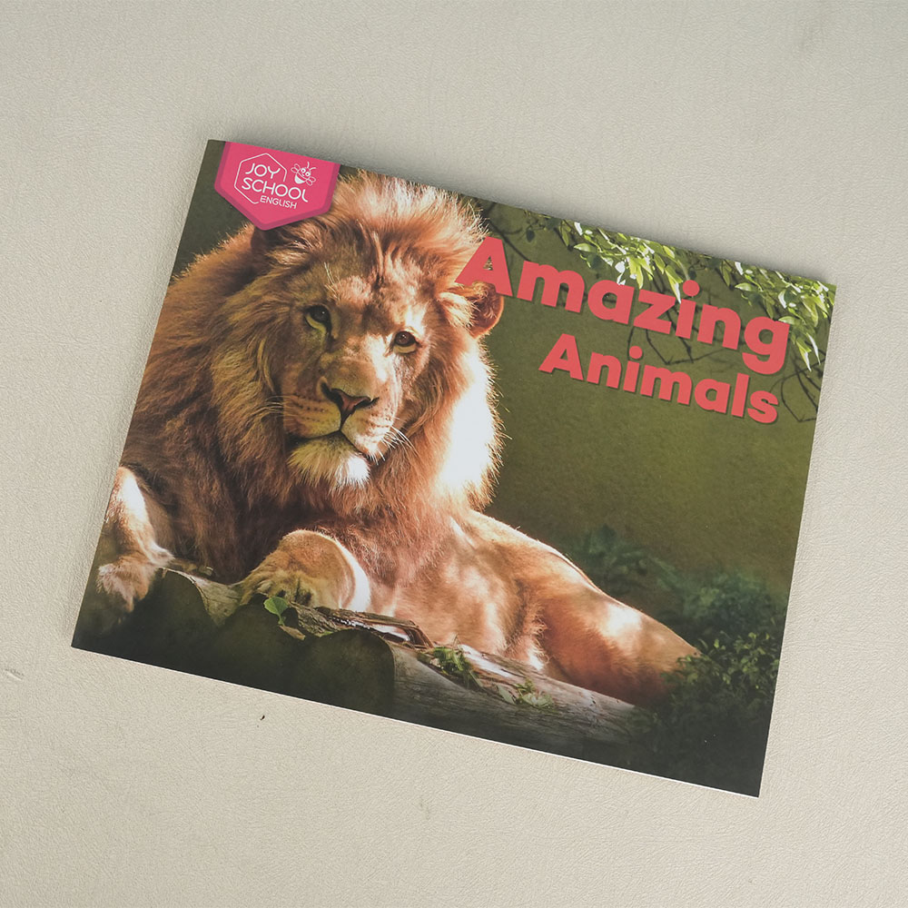 Box printing custom kids educational story children good paper board french english reading journals learning books for book lovers