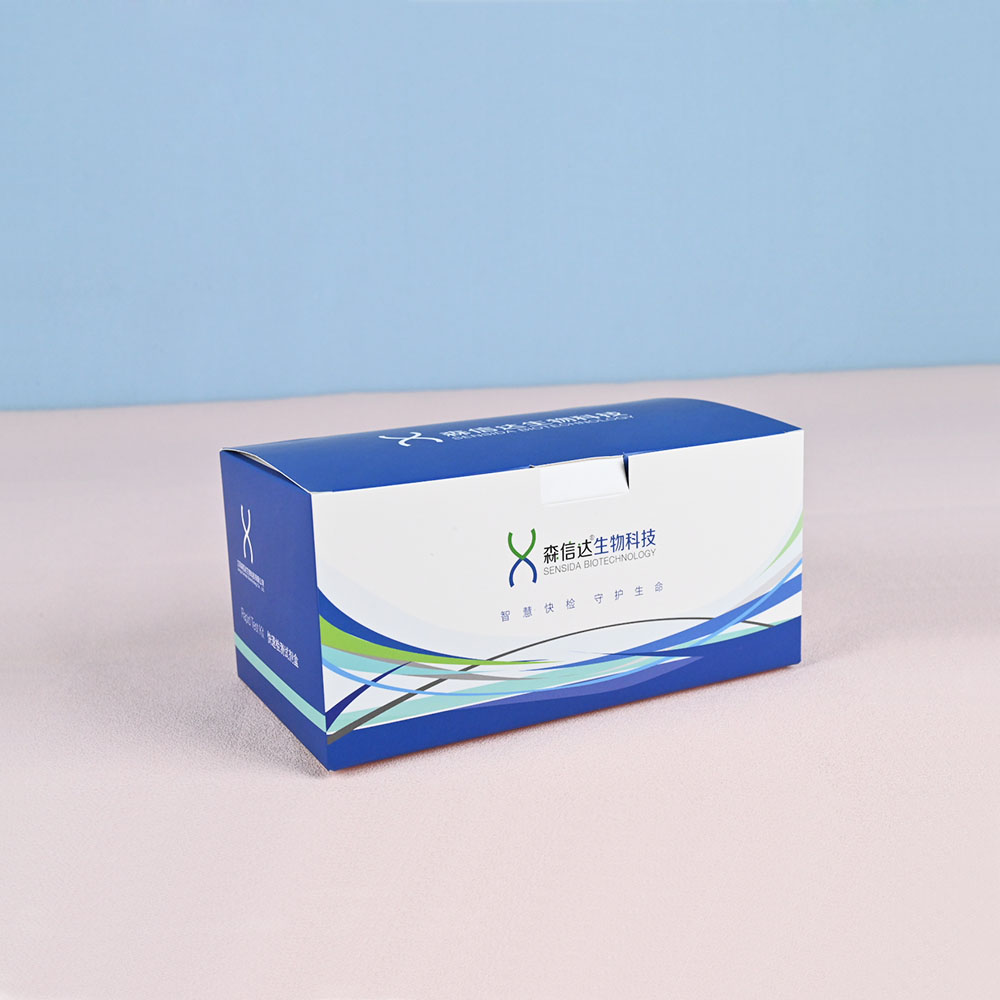Box Printing Custom Quality Paper Pregnancy Urine Test Kit Pharmaceutical Medicine Cardboard Packaging Box with Printing
