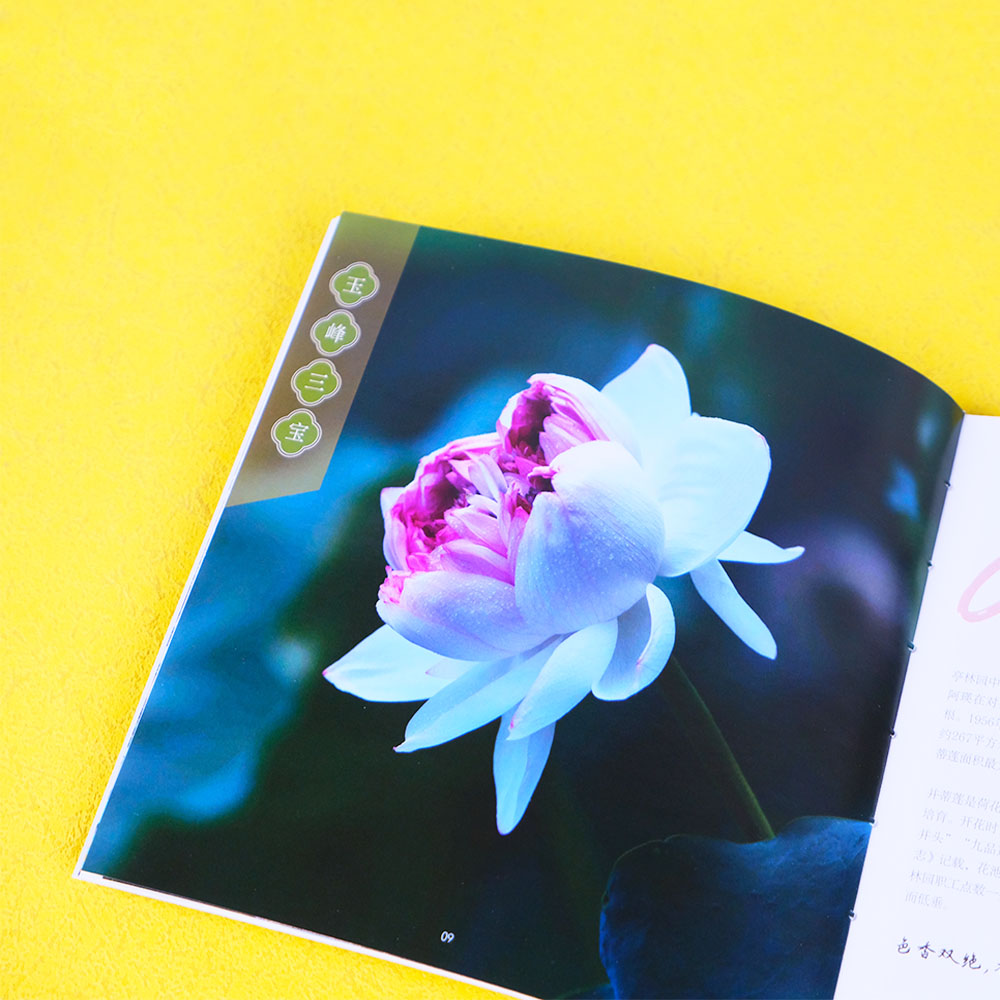 Box Printing Reusable Full Customization Saddle Stitch Brochure Booklet Printing Custom Release Paper Book