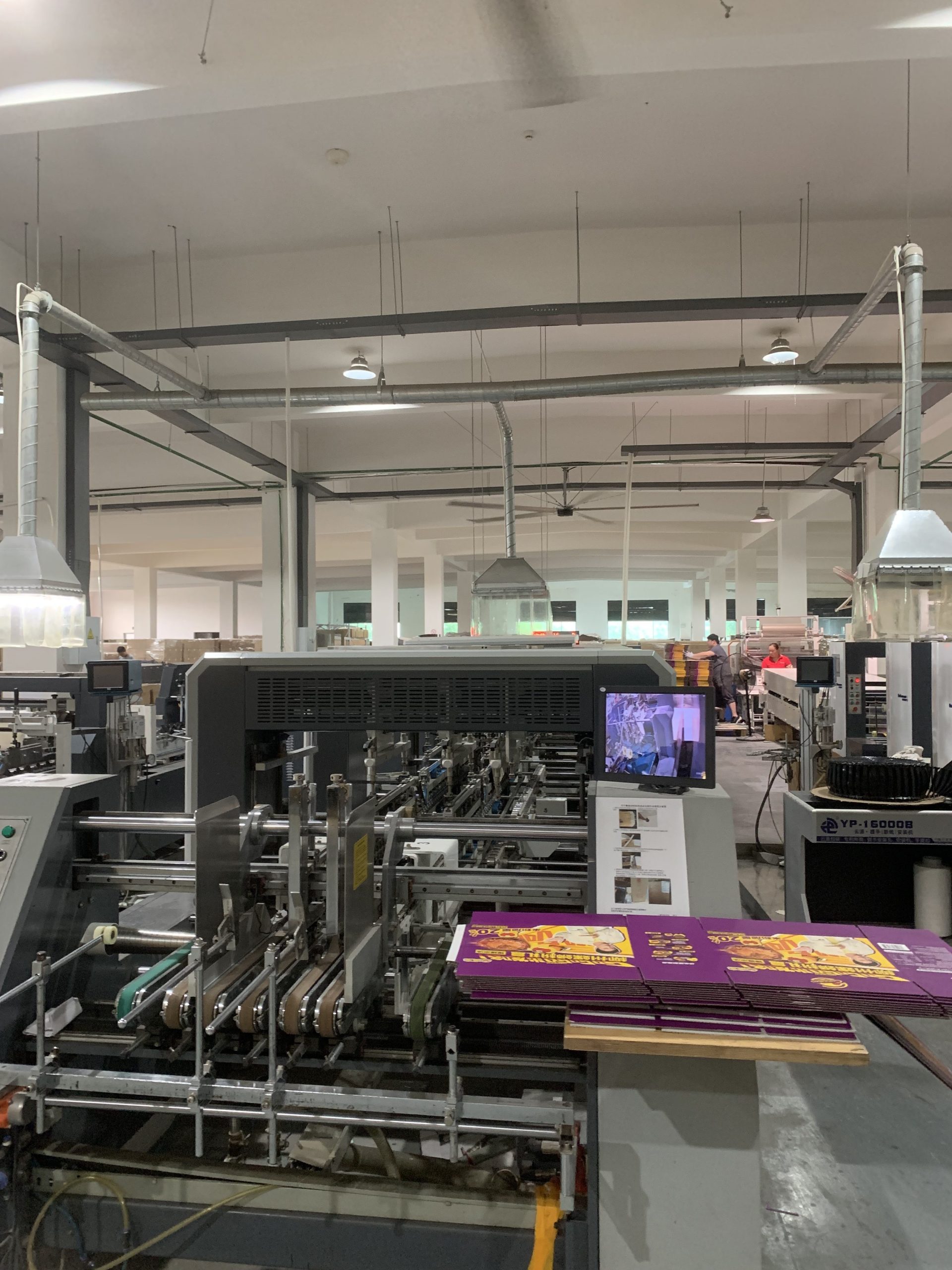 Eco-Trends 2025: The Rise of Plant-Based and Plastic-Free Packaging Materials