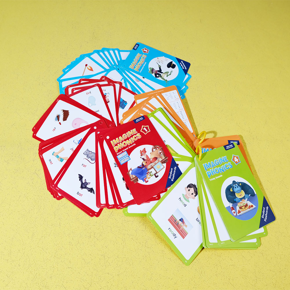 Box Printing Custom Coated Paper Binder Russian English Child Fruit Animal Picture and Colour Study Learning Cards for Children